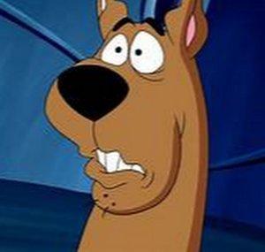 scooby poo