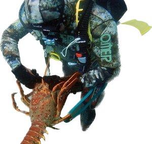 Sea Wolf 13