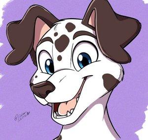 Spottystuff