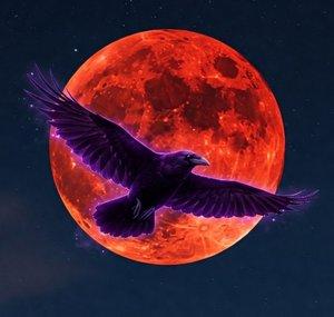 The Sanguine Raven