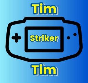 Tim Strikertim