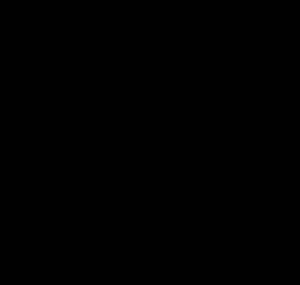 b0n
