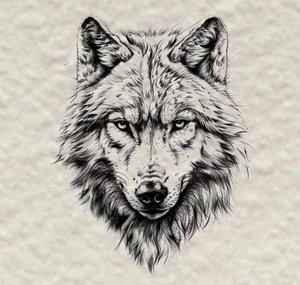 GreyWolf-[Mr.Guns]