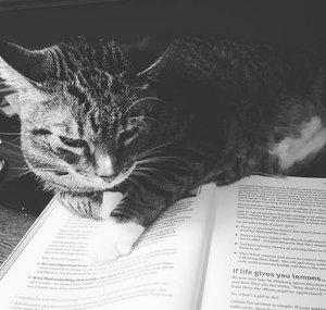 Pepper OnPages