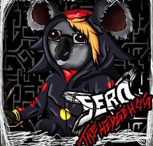 Sero The Hedgehog