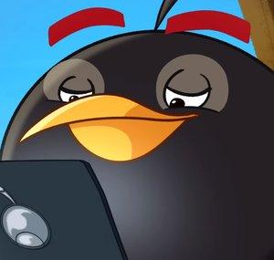 Zend Animations¡