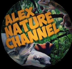 Alex Nature