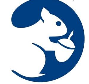 Animal Ethics
