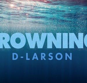 D - Larson