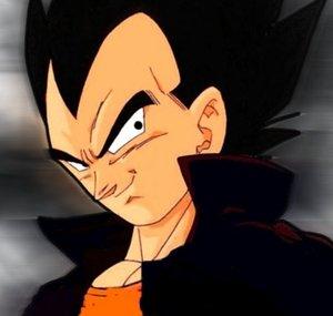 DBZ Stoopified