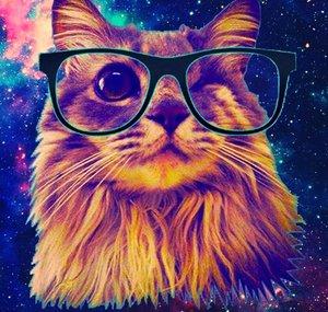 Gatos Do Espaço