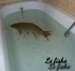 Official Le Fishe