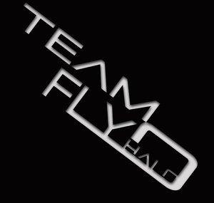 TeamFlyHalo