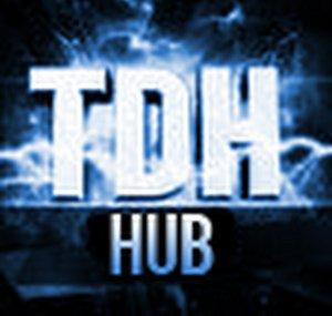 TheDirectorsHub