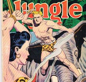 CaptainStrangelife Comics & Collectibles