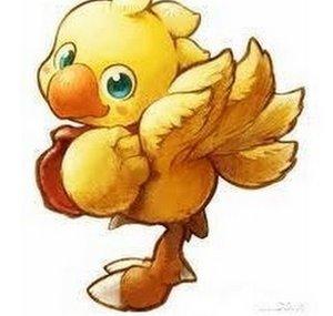 chocobo