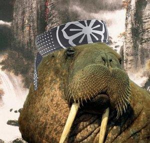 CrouchingWalrus