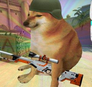CS2 PRO
