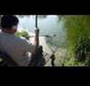 JustBeenFishing