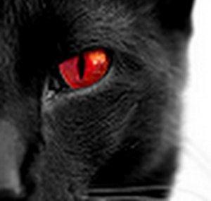 K9Darkstripe