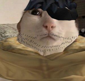 Malomalosi