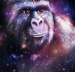Mono Infinito