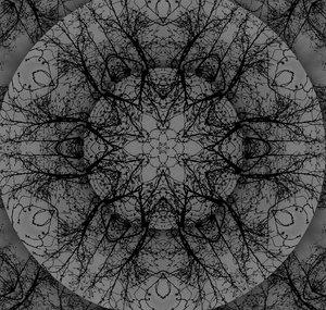  ocean æternal 