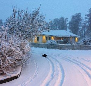 Scandinavian Thinking