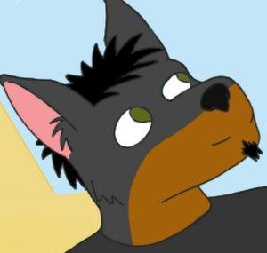 SliceOfDog