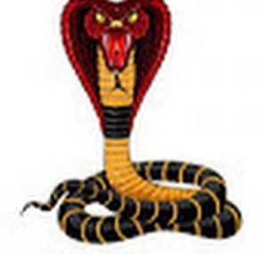 SnakesReborn