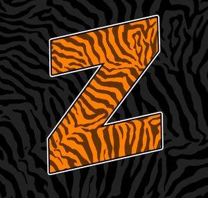 TheFlamingZebra | TCG