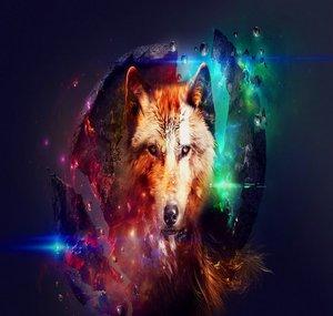 WolfFlex