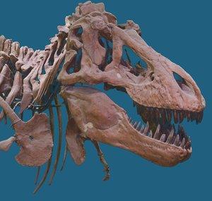 American Museum of Natural History