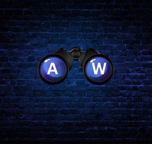 Audit Watch