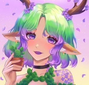 Celine Whitetail