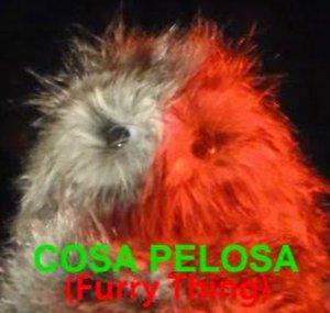 Cosa Pelosa Alceo FX