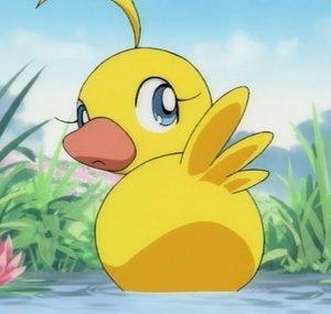 Dustjacket Duck