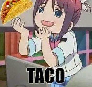 kakitamaster