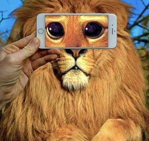 Leo23 FTW
