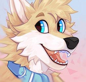 ReefRuff