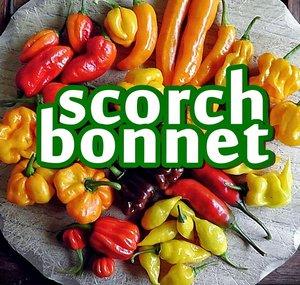 Scorch Bonnet
