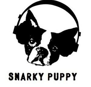 Snarky Puppy