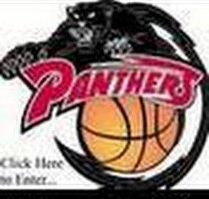 The Panther