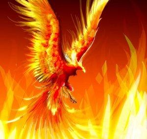 xIPhoeniix