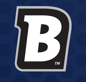 Blichmann Engineering & Anvil Brewing Equipment
