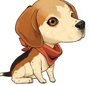 Charlie The Beagle