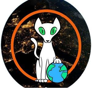 Culture Catz