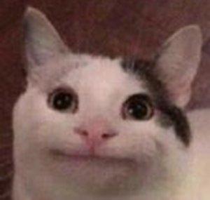 Domio