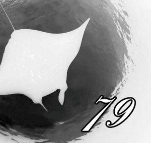 mantaray79