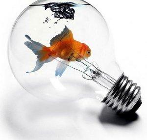 NoPetsExceptFish